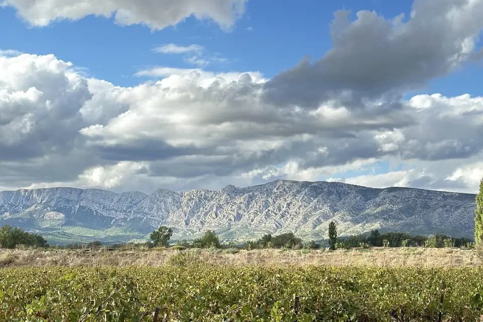 Bastide & Moi — photo 4