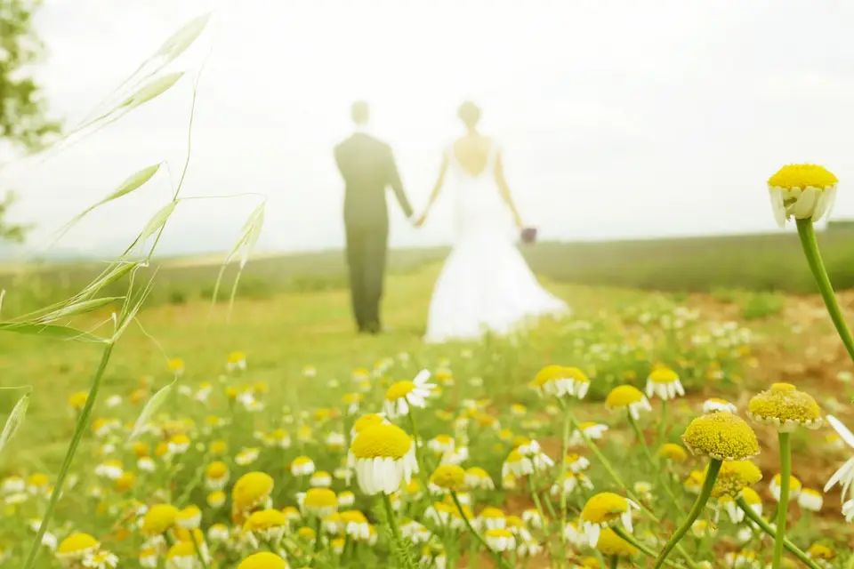 GenepiFILM — photo 2