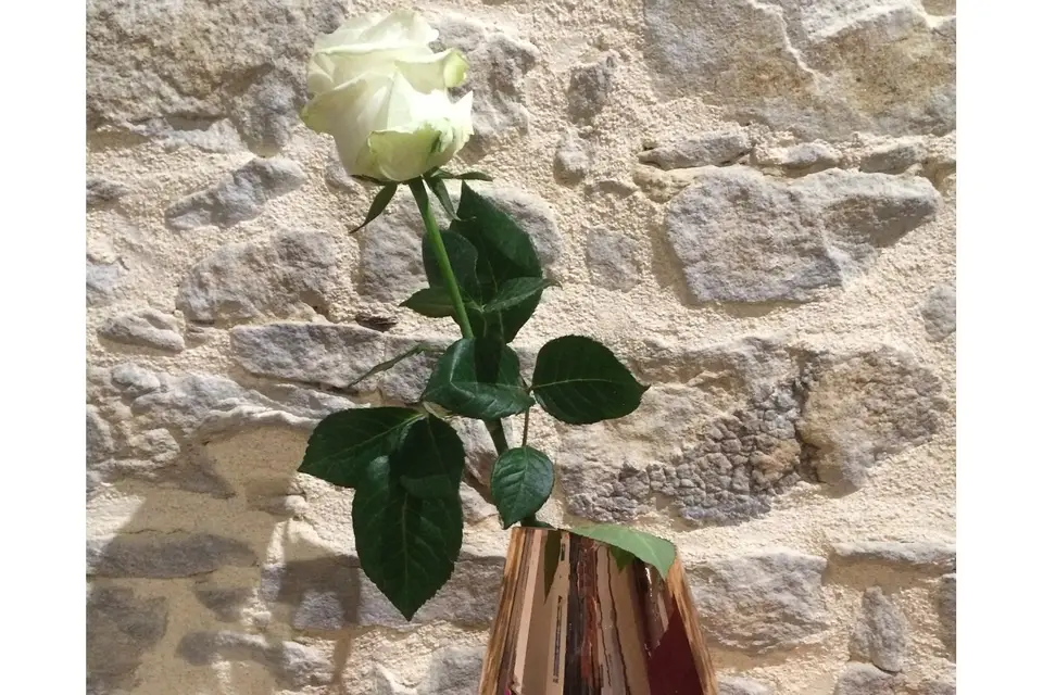 My French Brocante — photo 6