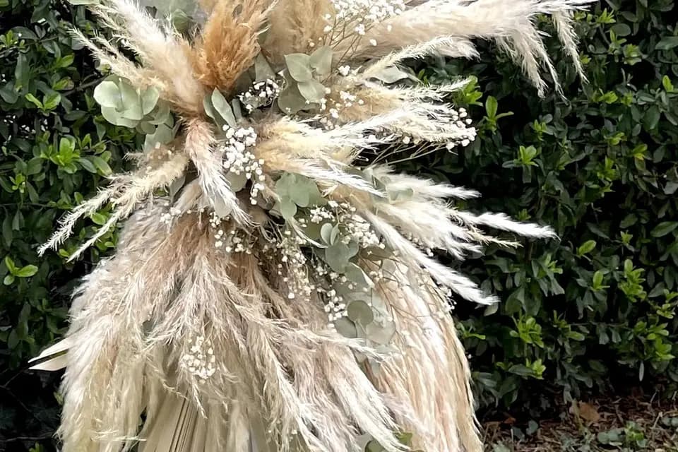 Hello Pampa — photo 4