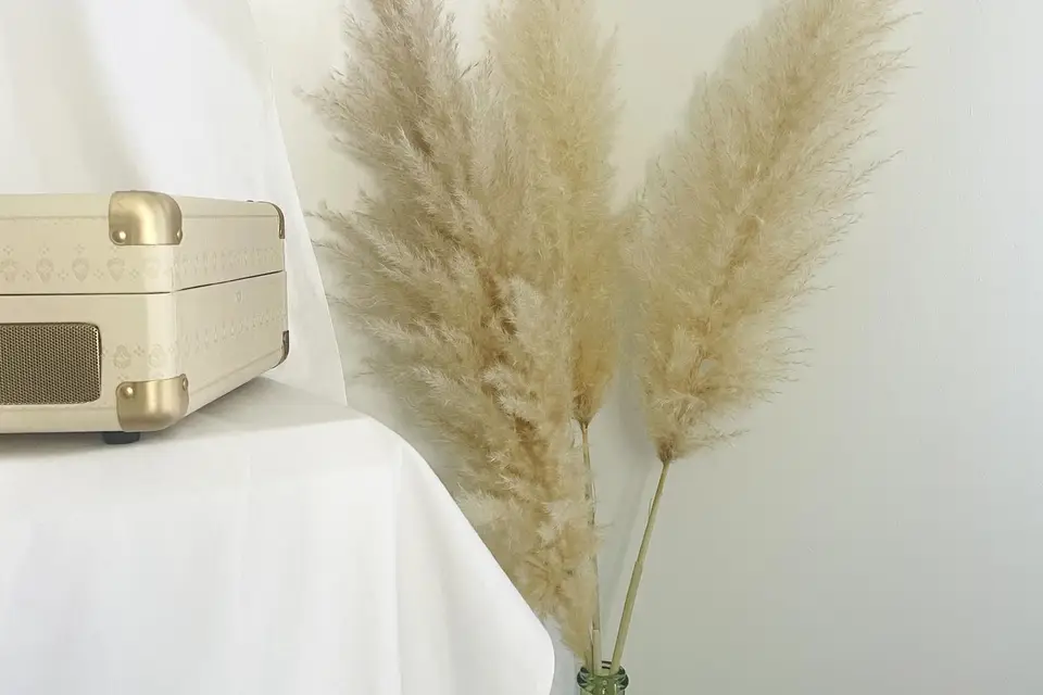 Hello Pampa — photo 1