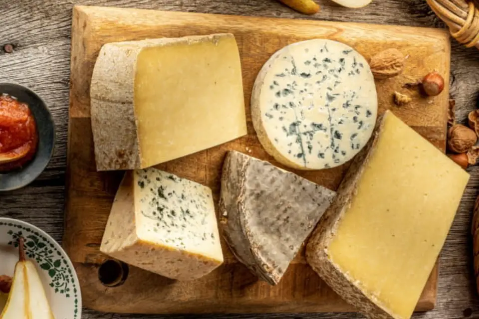 Auvergnetraiteur — photo 8