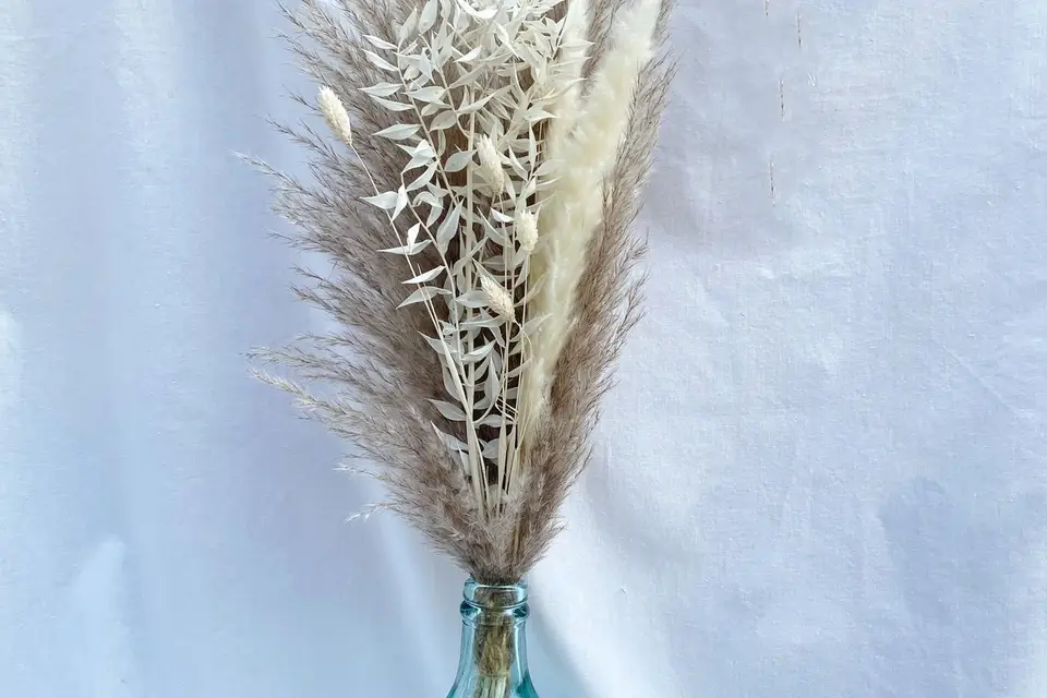 Hello Pampa — photo 7