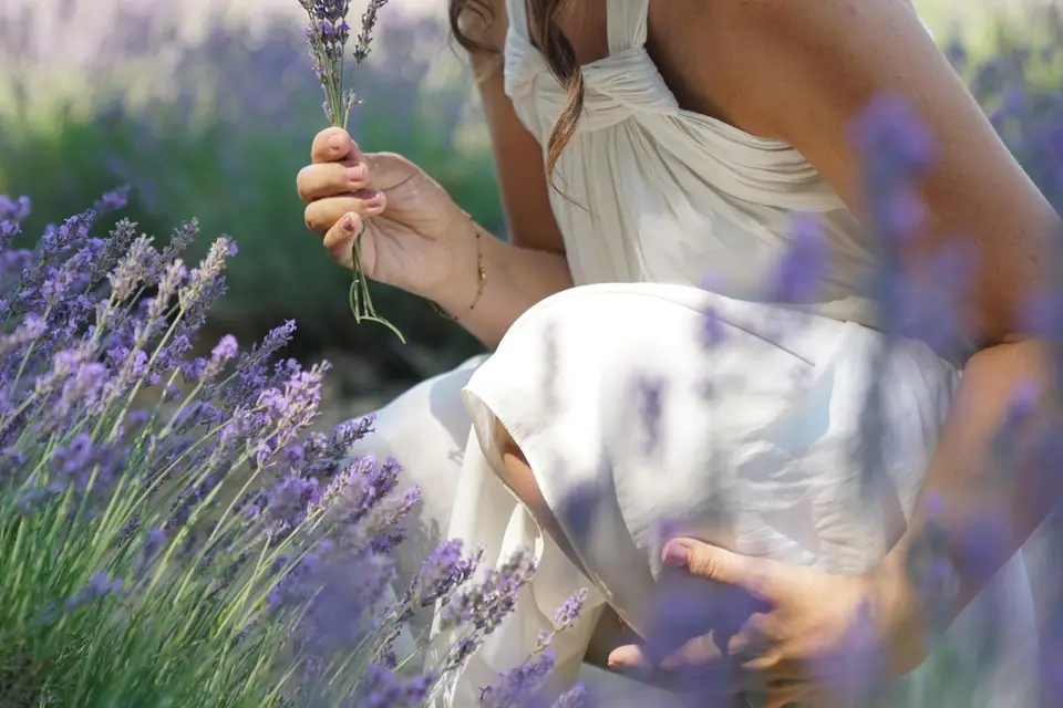 Vie Happy Vidéo — photo 3