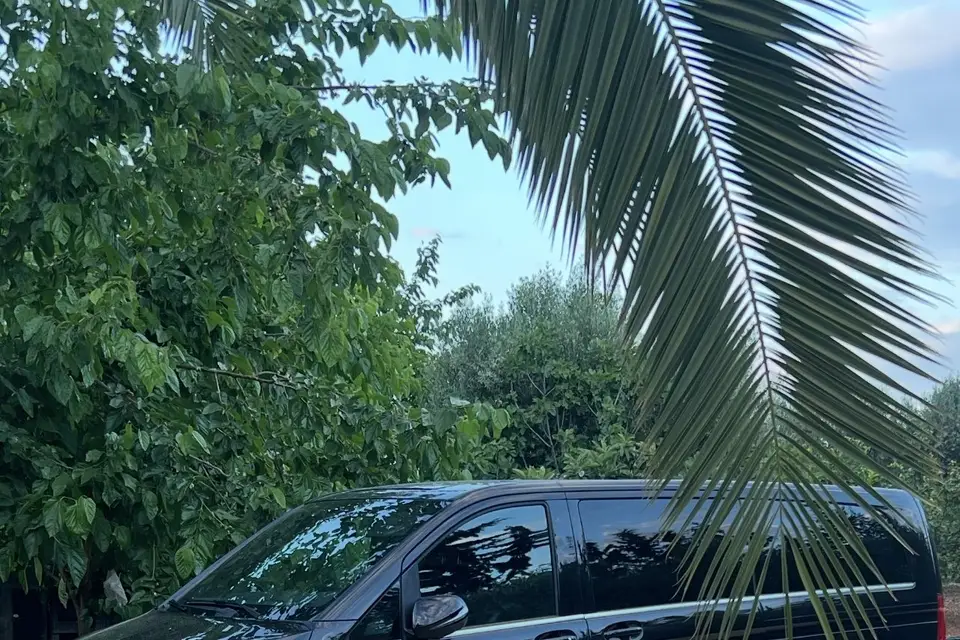 Taxis Cazenave — photo 2