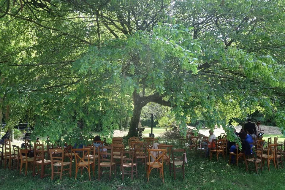 WanaDance — photo 6