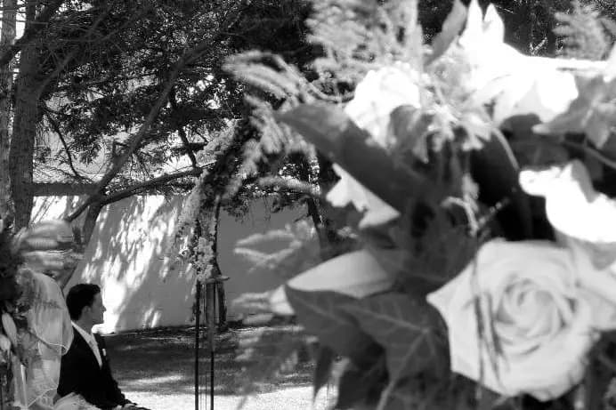 Féérie d'un jour — photo 3