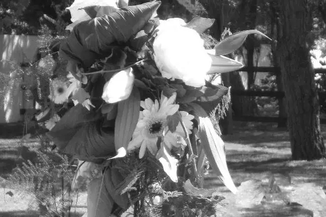 Féérie d'un jour — photo 4