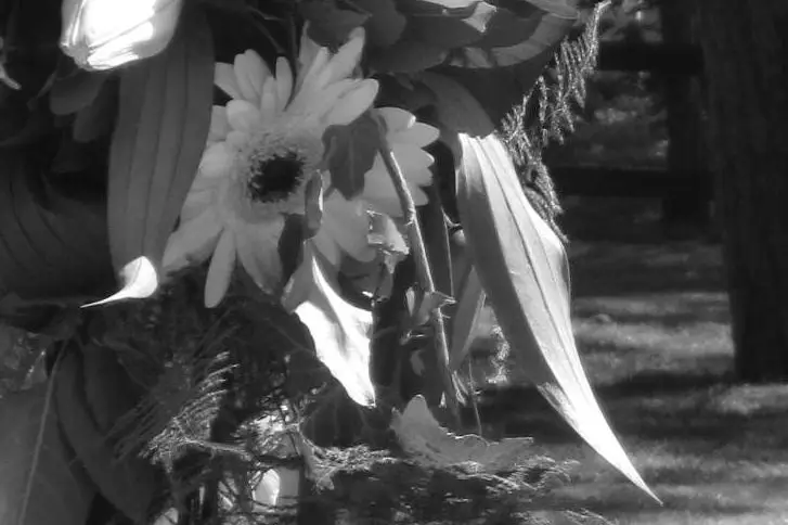 Féérie d'un jour — photo 5