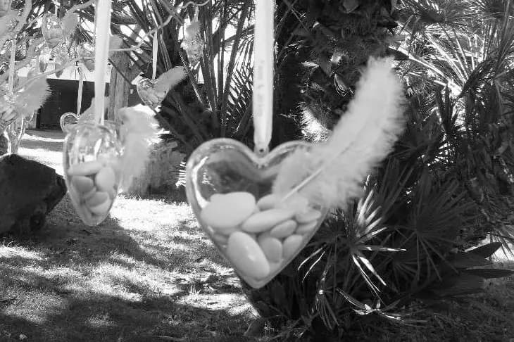 Féérie d'un jour — photo 6