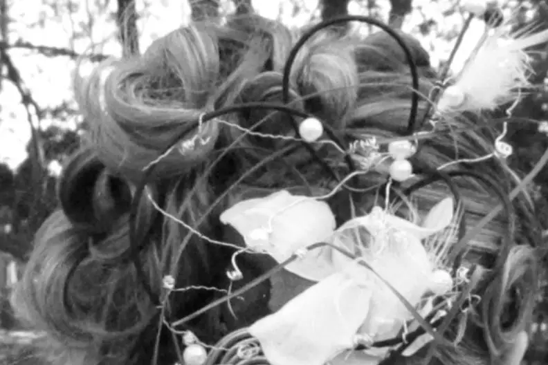 Féérie d'un jour — photo 7