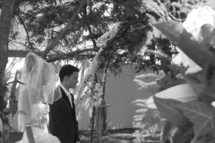 Féérie d'un jour — photo 8