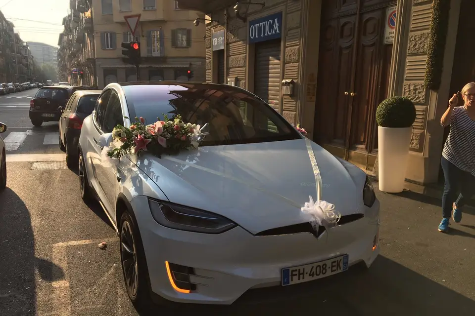 Steph on Tour — photo 1