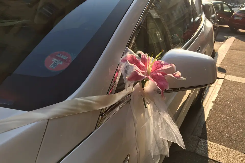 Steph on Tour — photo 6