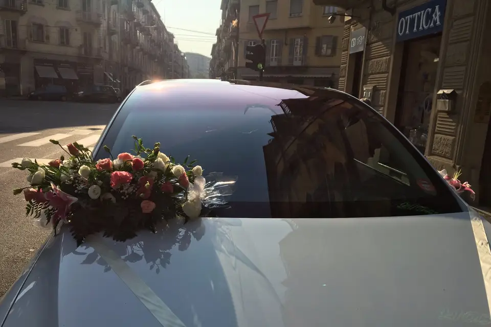 Steph on Tour — photo 7