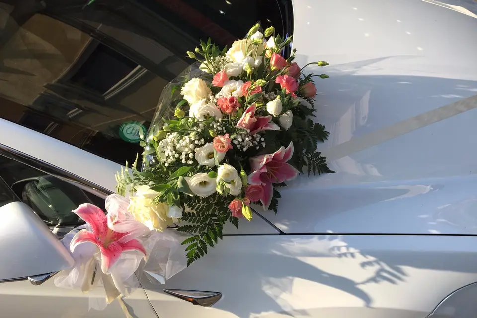 Steph on Tour — photo 8