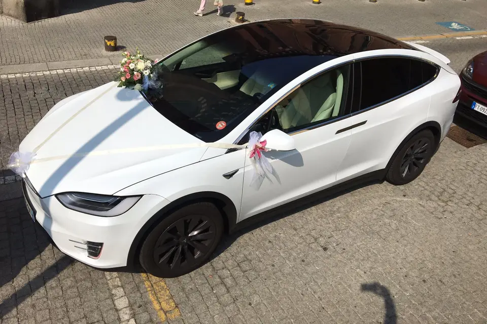 Steph on Tour — photo 4