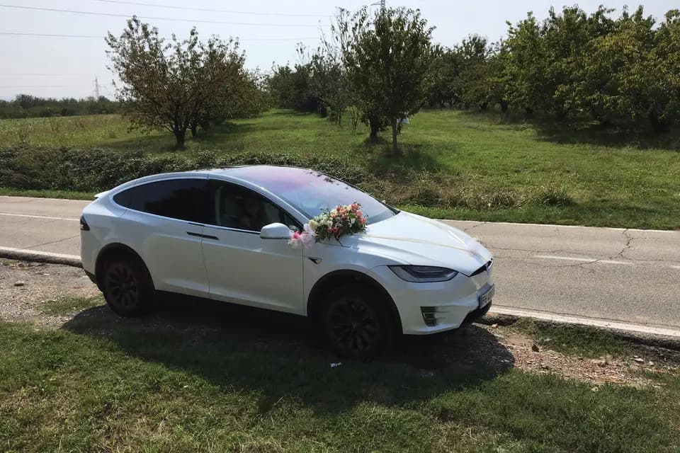 Steph on Tour — photo 3