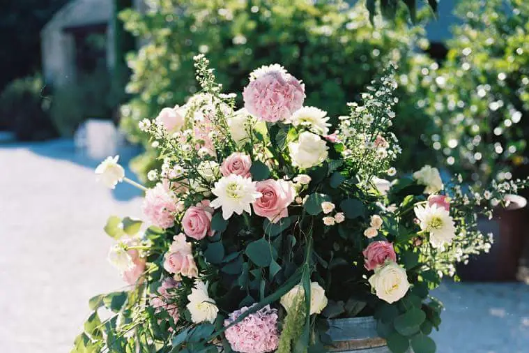 Flowers Power — photo 7