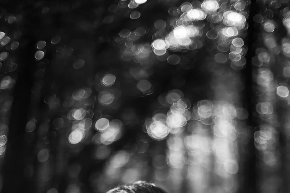 Cedric Photos — photo 3