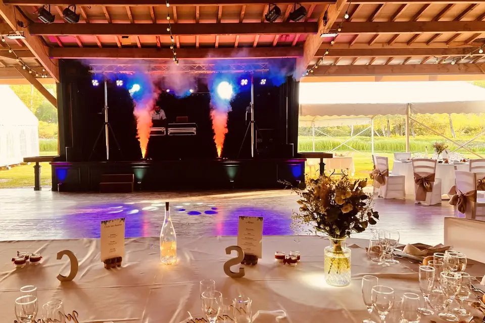 TX Animation — photo 4