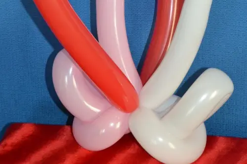 Michel Mallegan - Magicien et sculpteur de ballons — photo 2