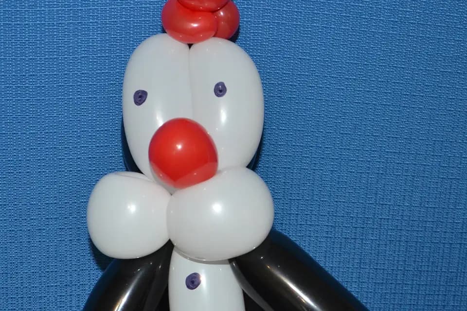 Michel Mallegan - Magicien et sculpteur de ballons — photo 1