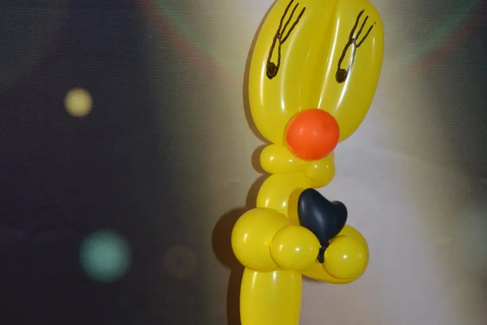 Michel Mallegan - Magicien et sculpteur de ballons — photo 6