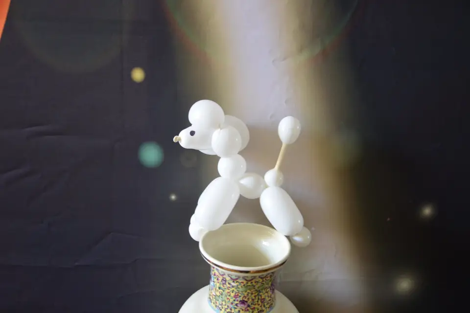 Michel Mallegan - Magicien et sculpteur de ballons — photo 8