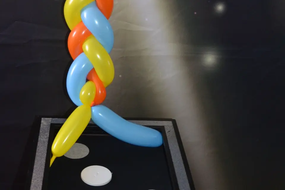 Michel Mallegan - Magicien et sculpteur de ballons — photo 4