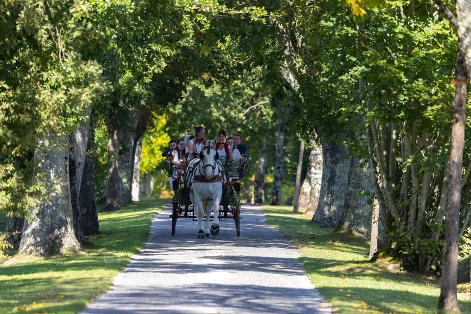 Les Traits de Gaïa — photo 2