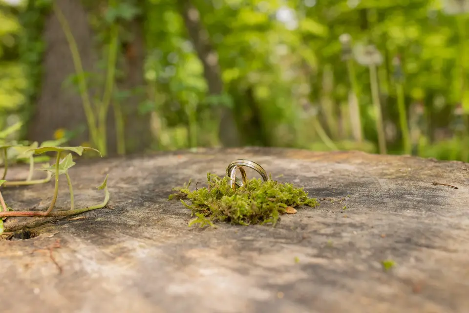 Eclat Photographie — photo 3