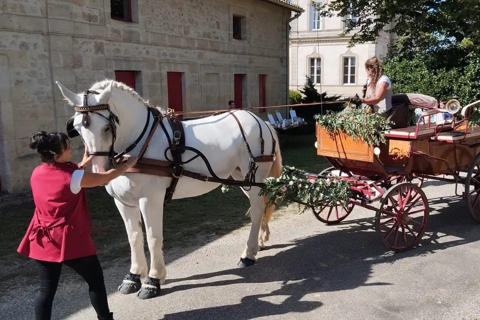 Les Traits de Gaïa — photo 5