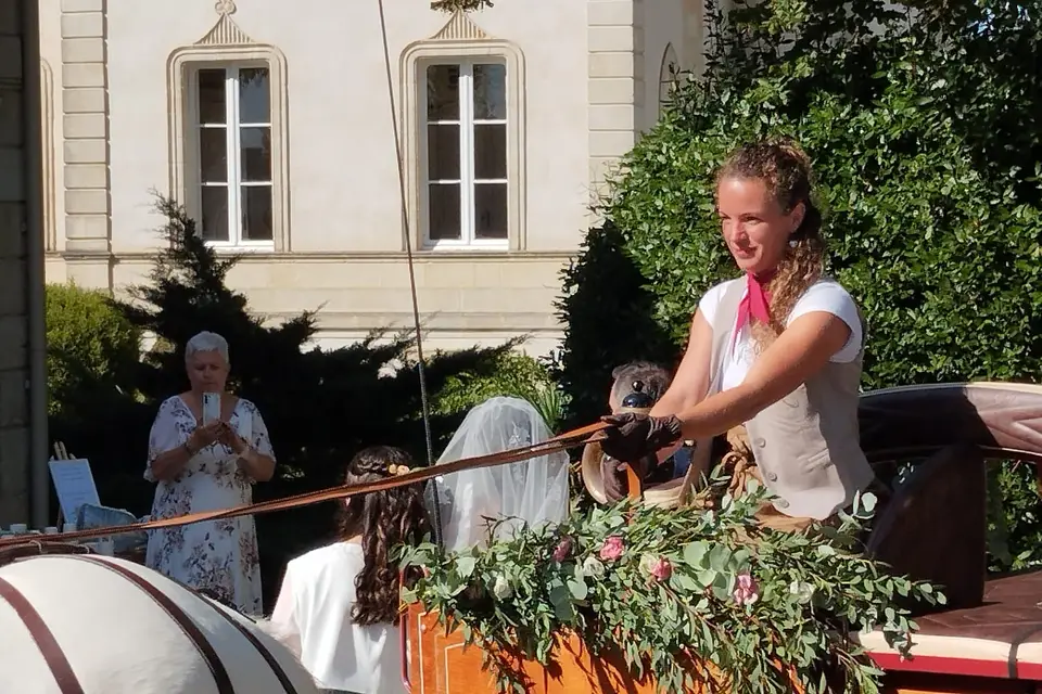 Les Traits de Gaïa — photo 3