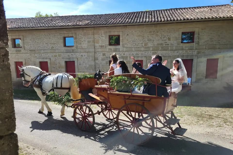 Les Traits de Gaïa — photo 4