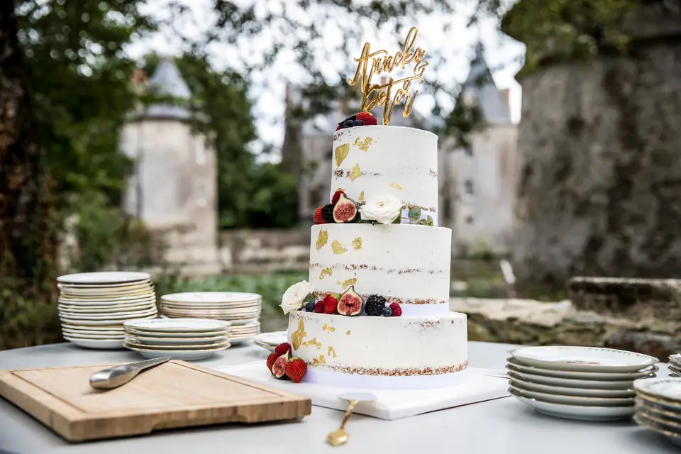 Château de la Preuille — photo 5