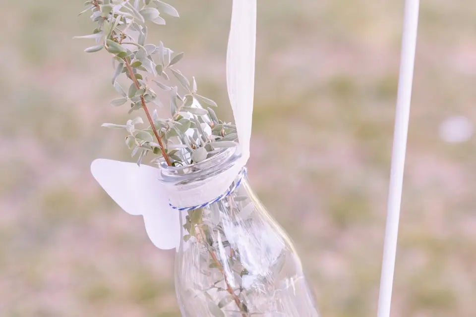 Magic Light — photo 3