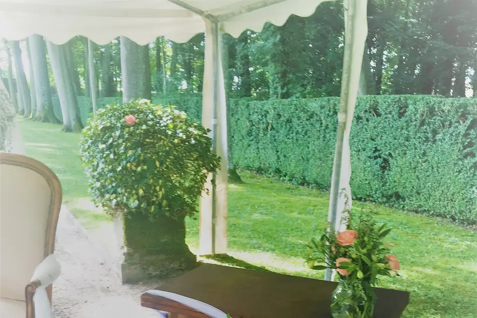 Magic Light — photo 7