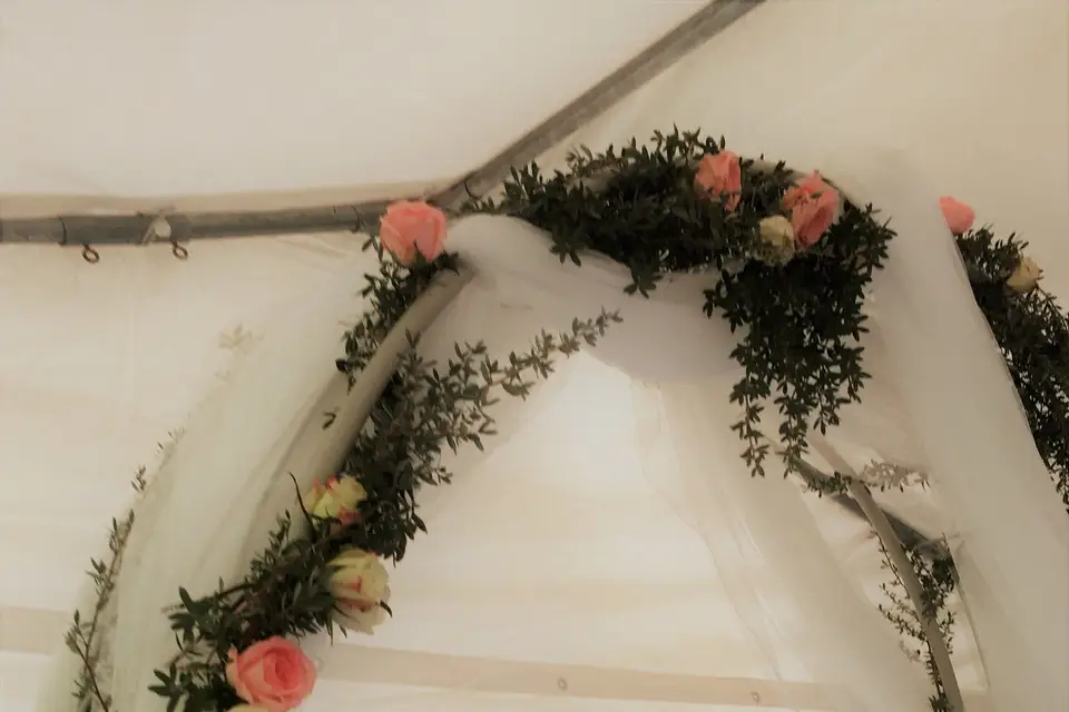 Magic Light — photo 8