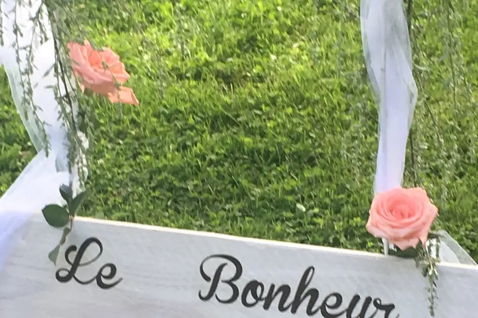 Magic Light — photo 4