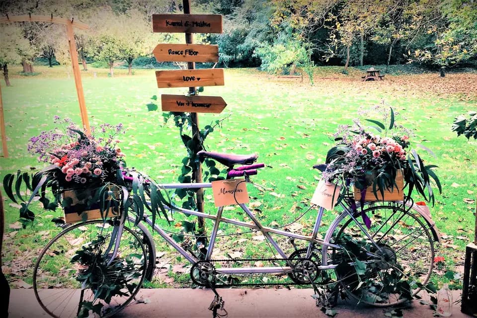 Magic Light — photo 1