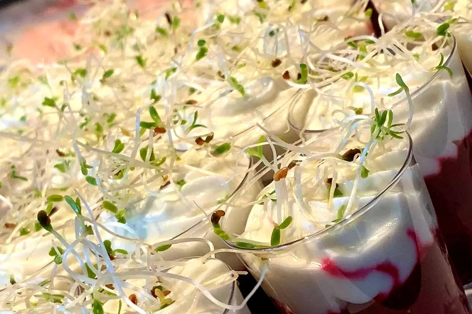 AVJ Traiteur — photo 5