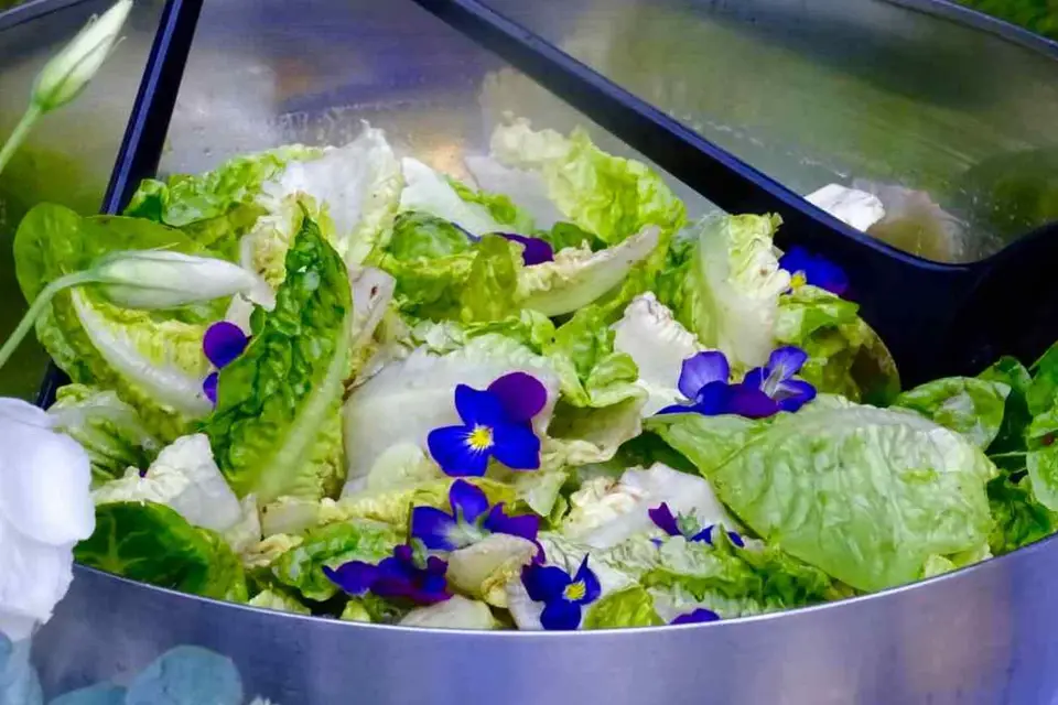 Le Bonheur est dans la Poêle — photo 5