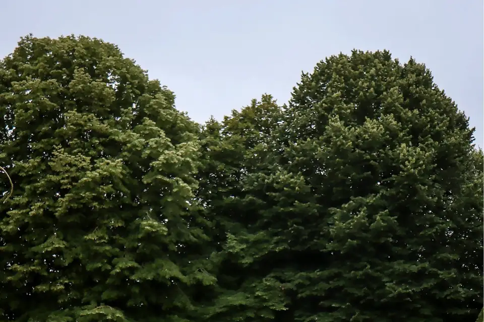 Sol & Cie — photo 4