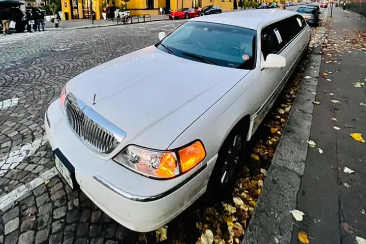 Upscale Driver — photo 2