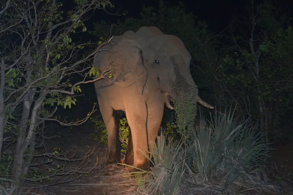 Le Bihan — photo 4