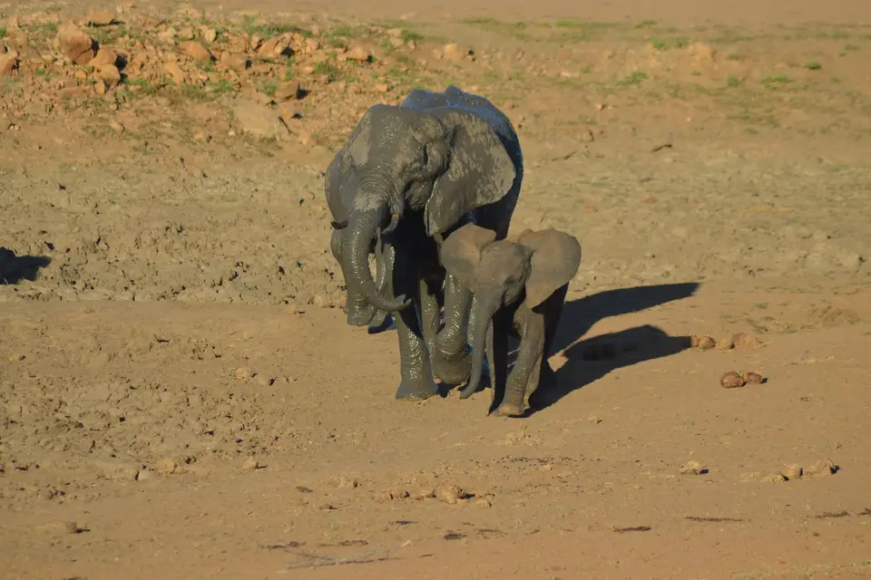 Le Bihan — photo 5