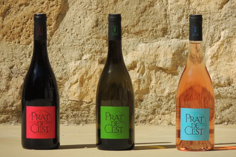 Château Prat de Cest — photo 4