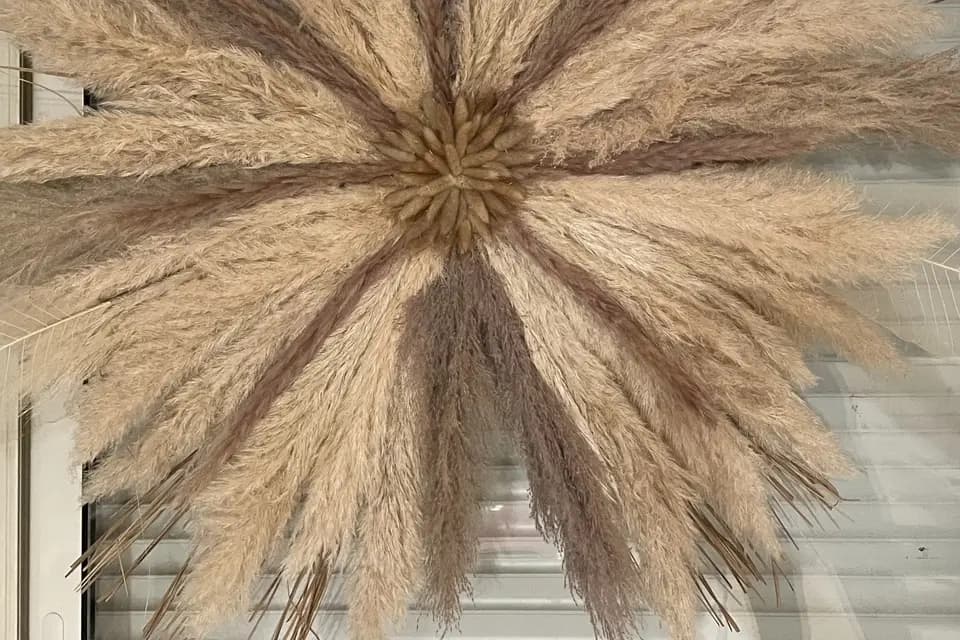 Les Luciennes — photo 1