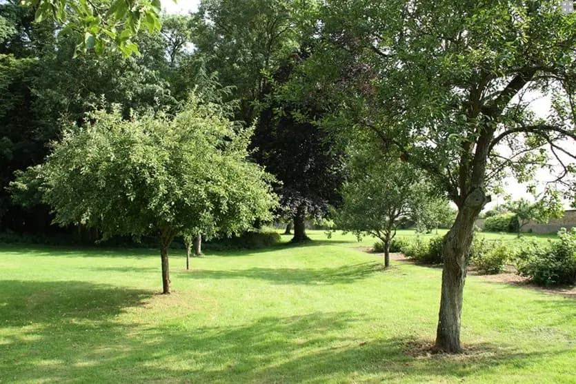 Le Domaine de Stanislas — photo 4